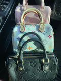 Lv Vanity Bag